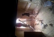 percement fenêtre sur mur porteur 